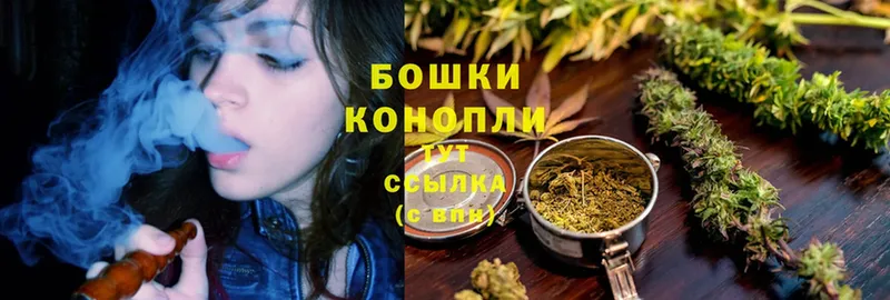 Бошки марихуана THC 21%  Курлово 